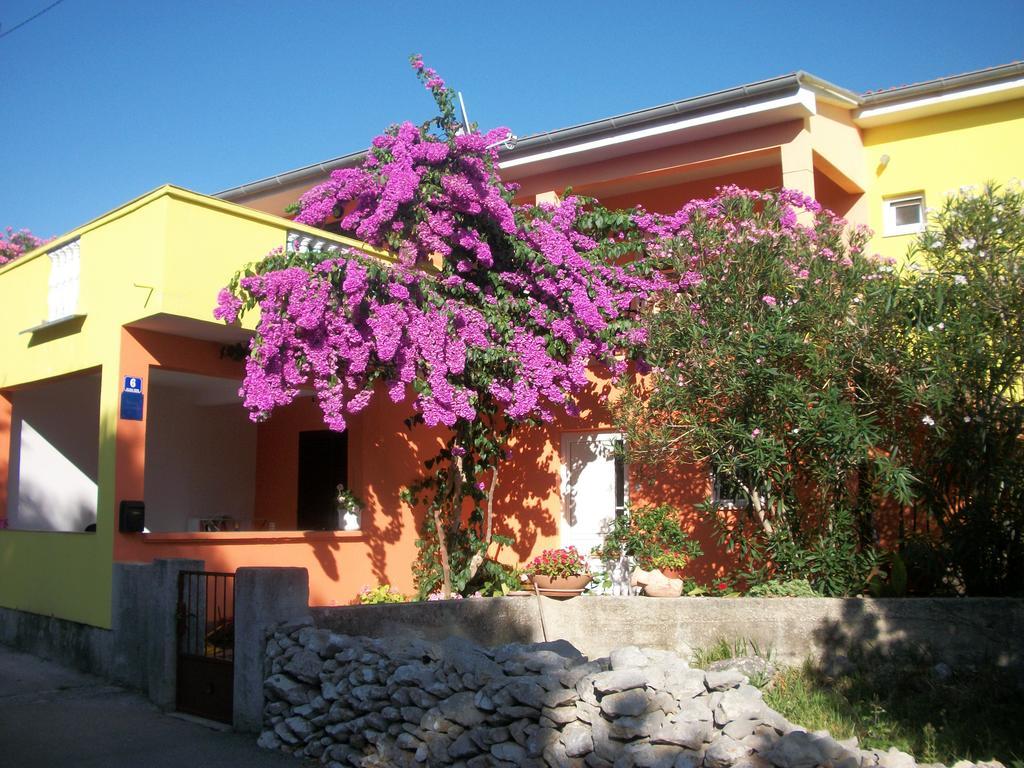 Apartments Mirjana Petrcane Exterior foto