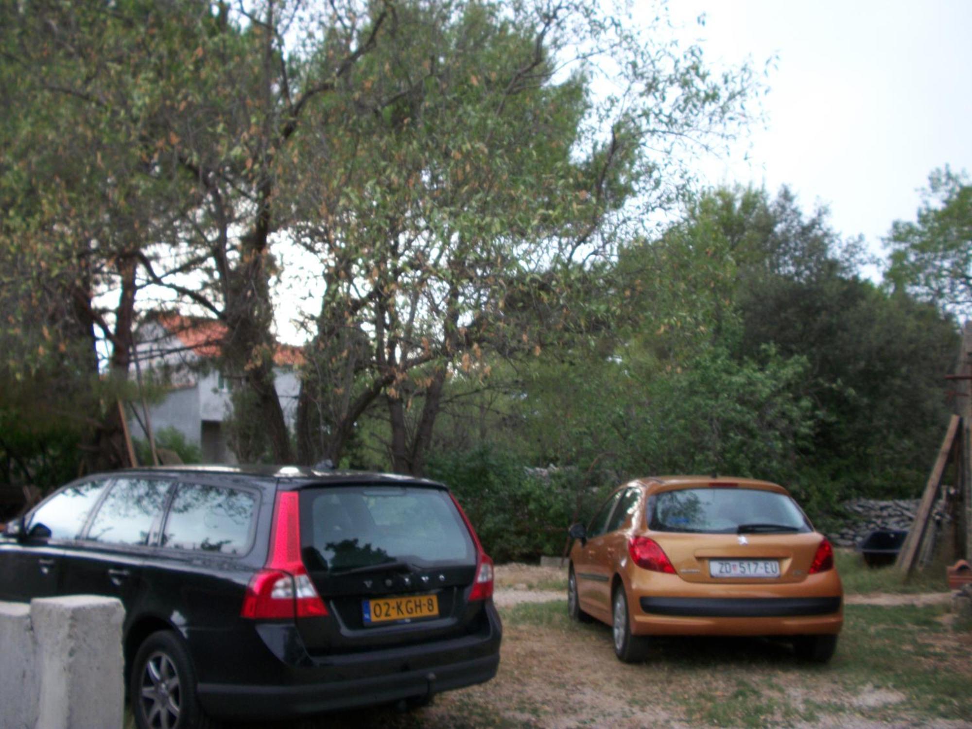 Apartments Mirjana Petrcane Exterior foto