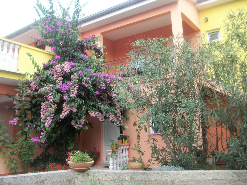 Apartments Mirjana Petrcane Exterior foto