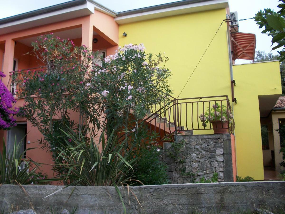Apartments Mirjana Petrcane Exterior foto