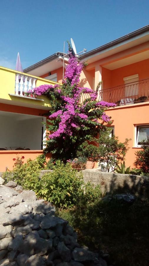 Apartments Mirjana Petrcane Exterior foto